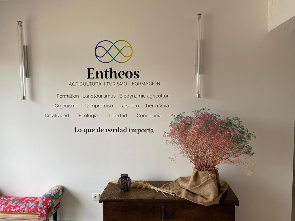 Entheos Hostel Lerin Bagian luar foto